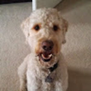 Meet your Posher, Scott